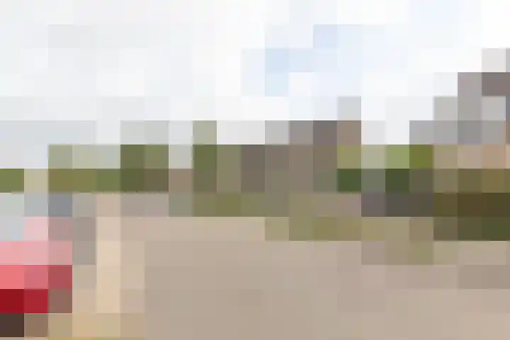 Kleipeer 7 Duiven thumbnail 52