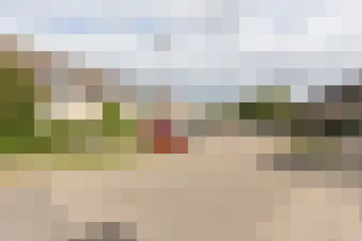 Kleipeer 7 Duiven thumbnail 53
