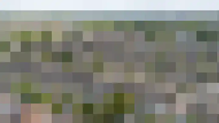 Kleipeer 7 Duiven thumbnail 54