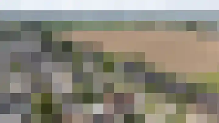 Kleipeer 7 Duiven thumbnail 55