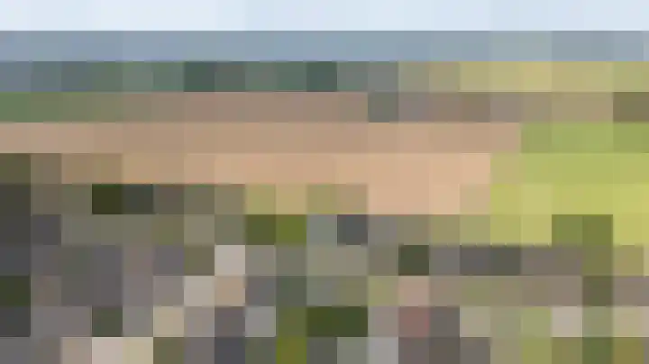 Kleipeer 7 Duiven thumbnail 56