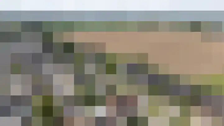 Kleipeer 7 Duiven thumbnail 6