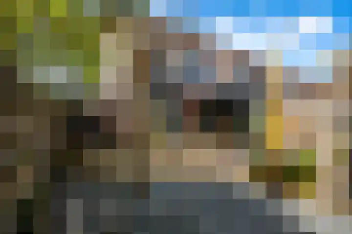 Kleipeer 7 Duiven thumbnail 60