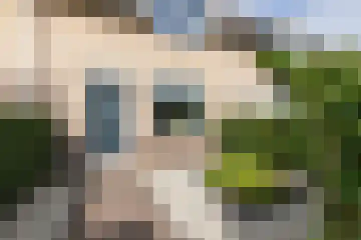 Kleipeer 7 Duiven thumbnail 8