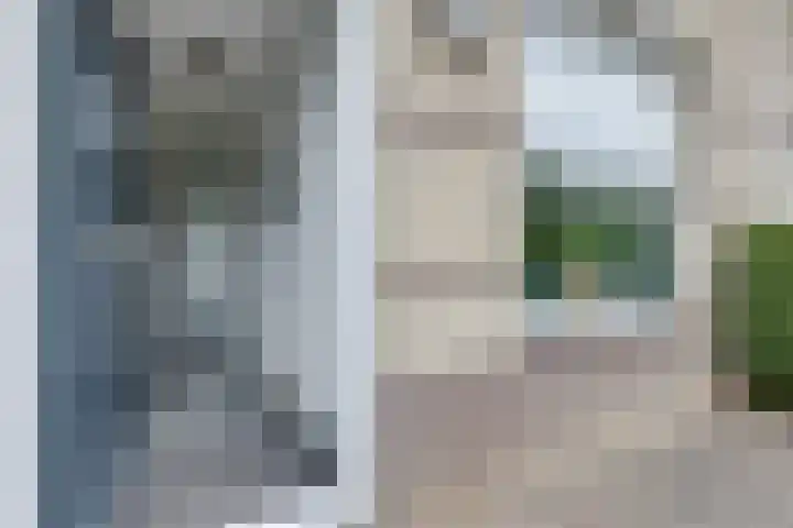 Kleipeer 7 Duiven thumbnail 9
