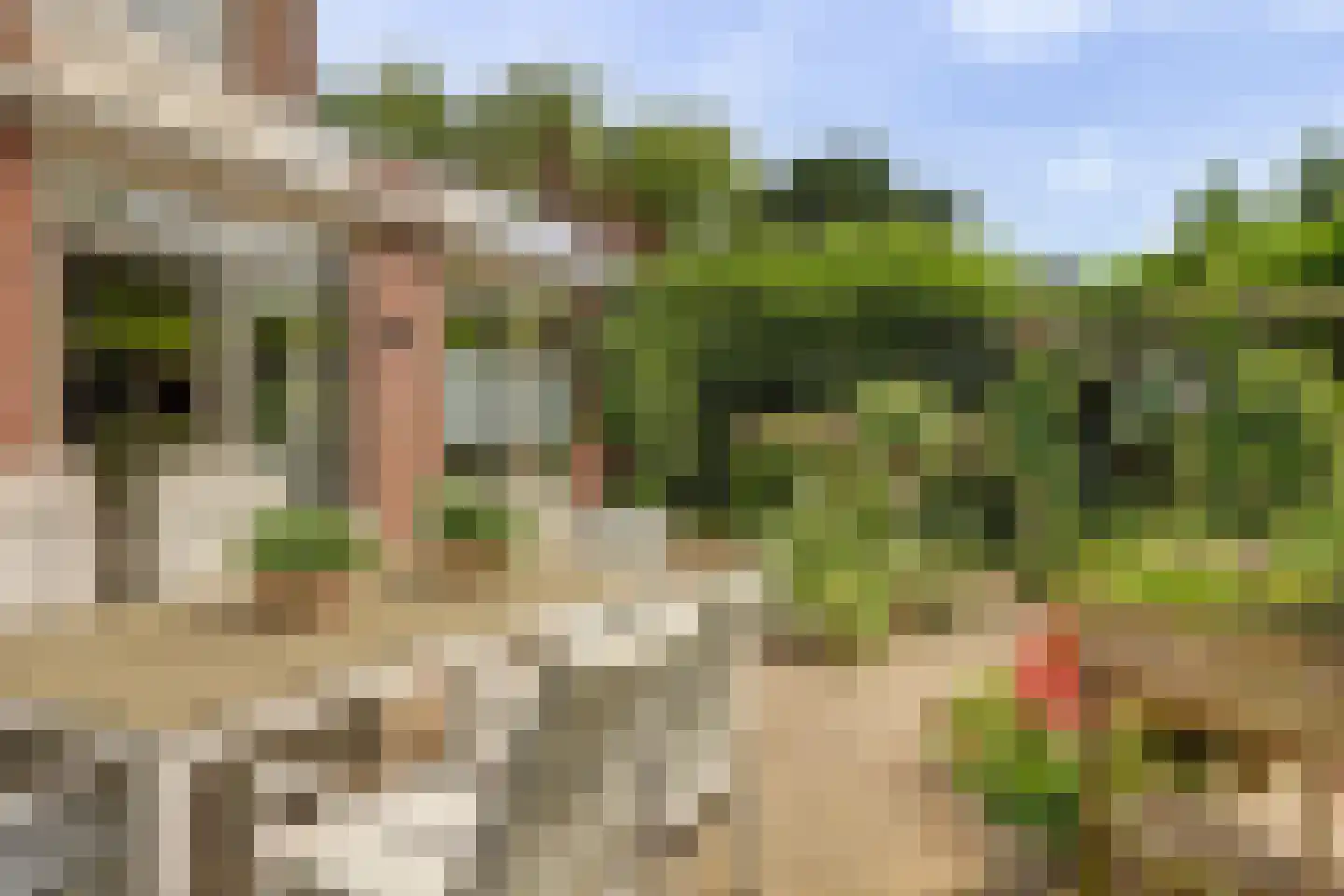 Kleipettenlaan 100 Rijnsburg thumbnail 44
