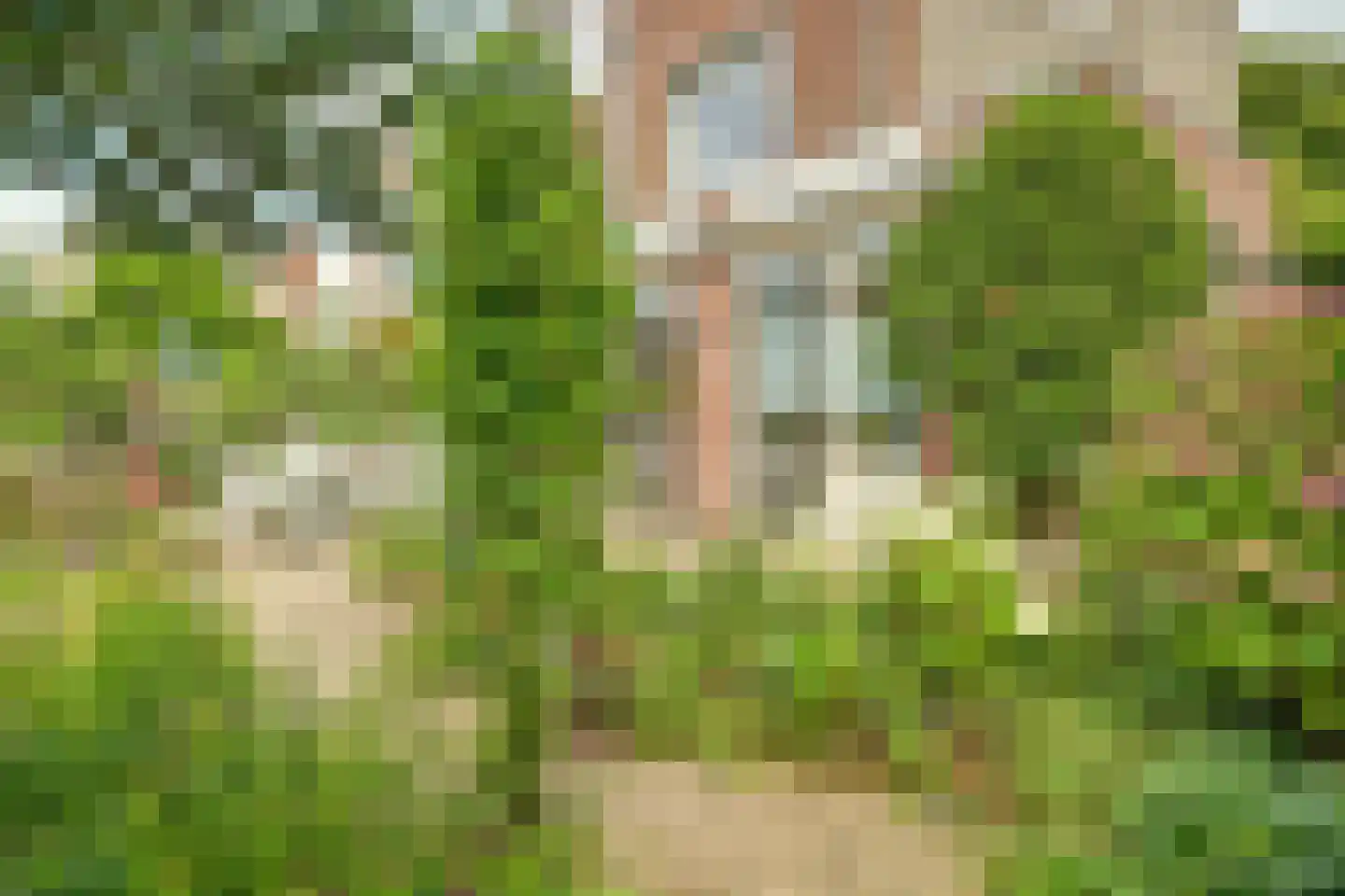 Kleipettenlaan 100 Rijnsburg thumbnail 45