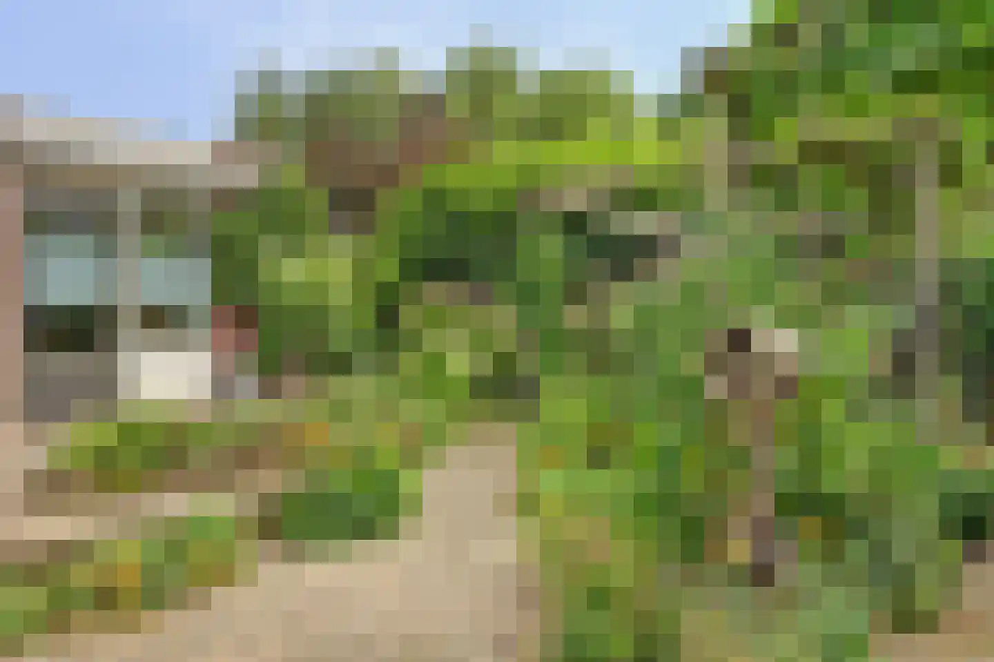 Kleipettenlaan 100 Rijnsburg thumbnail 49