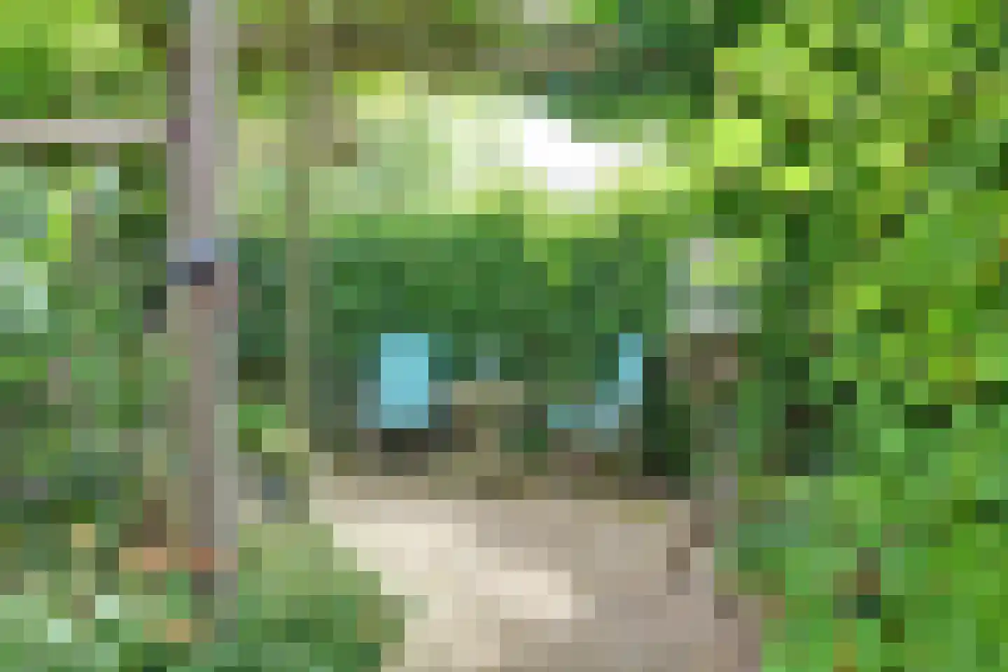Kleipettenlaan 100 Rijnsburg thumbnail 50