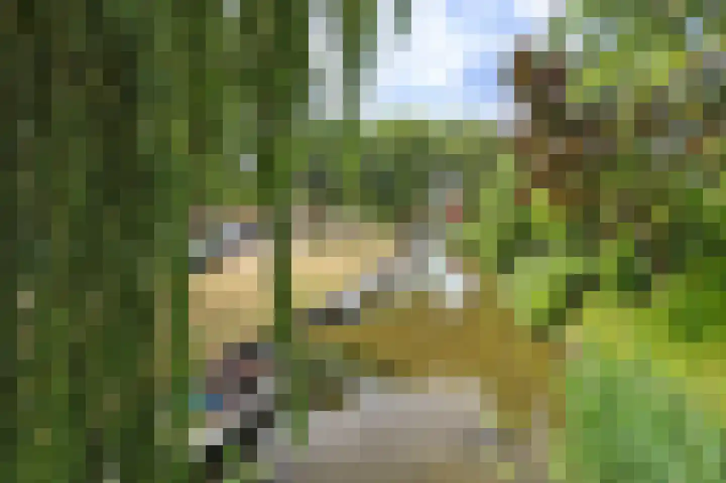 Kleipettenlaan 100 Rijnsburg thumbnail 52