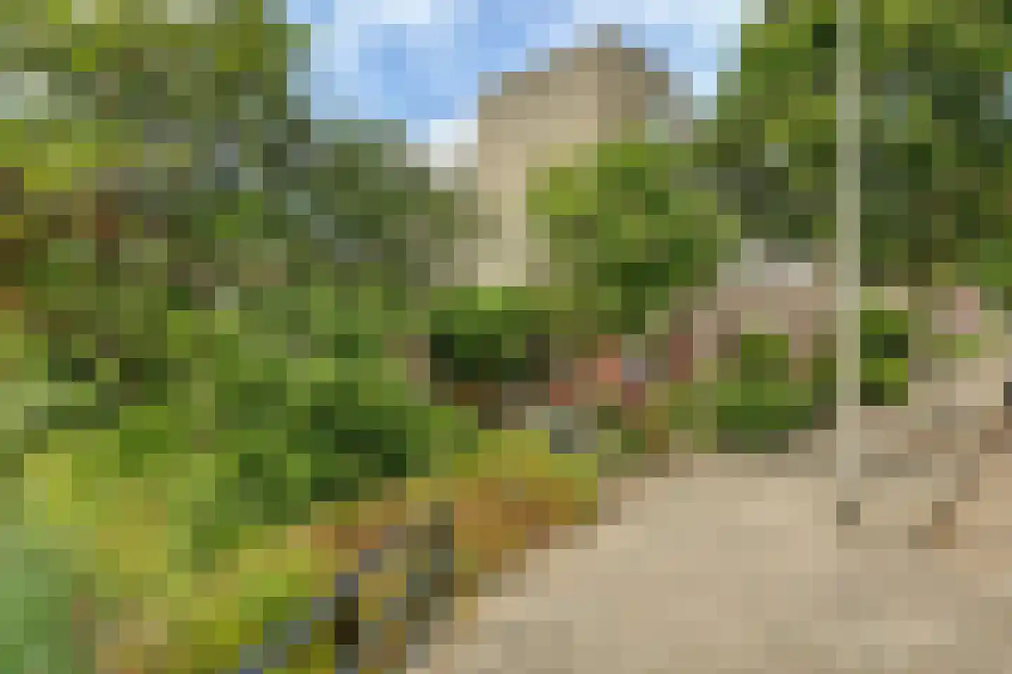 Kleipettenlaan 100 Rijnsburg thumbnail 53