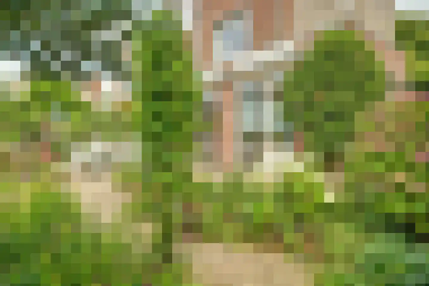 Kleipettenlaan 100 Rijnsburg thumbnail 7
