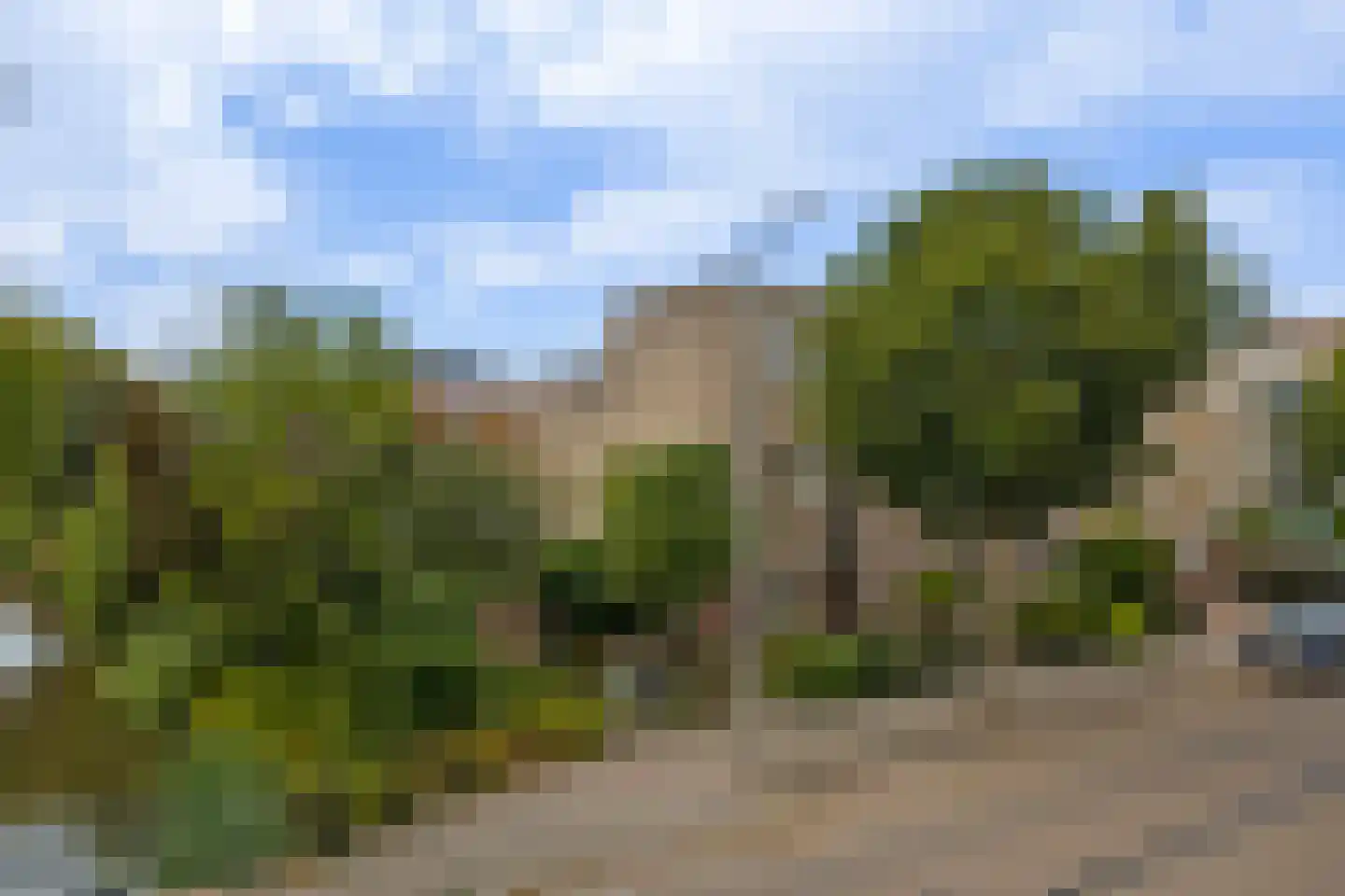 Kleipettenlaan 100 Rijnsburg thumbnail 8