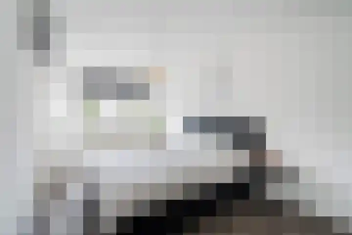 Kleipettenlaan 102 Rijnsburg thumbnail 25