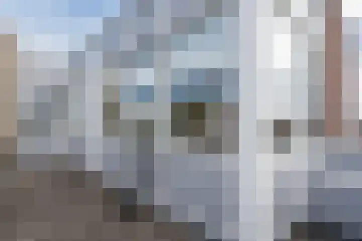 Kleipettenlaan 102 Rijnsburg thumbnail 45