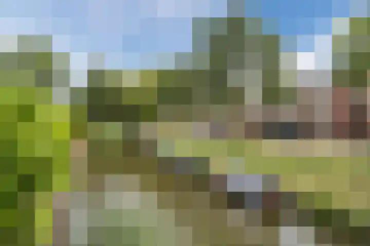 Kleipettenlaan 102 Rijnsburg thumbnail 59