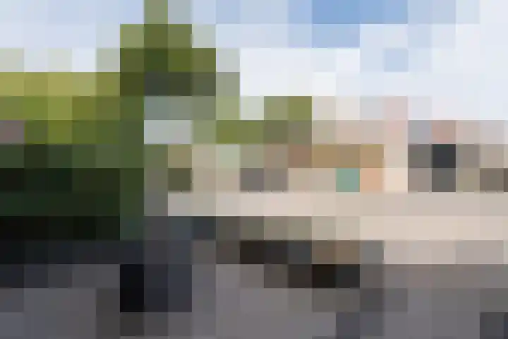 Kleipettenlaan 102 Rijnsburg thumbnail 6