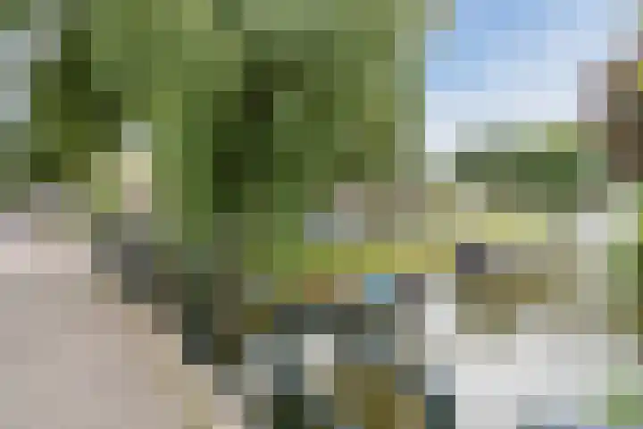 Kleipettenlaan 102 Rijnsburg thumbnail 60