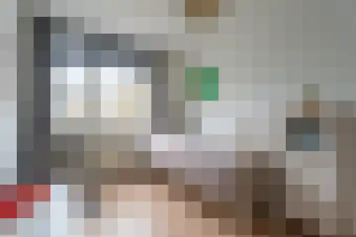 Kleipettenlaan 126 Rijnsburg thumbnail 13