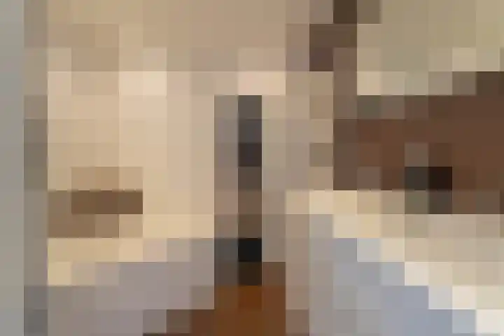 Kleipettenlaan 186 Rijnsburg thumbnail 16
