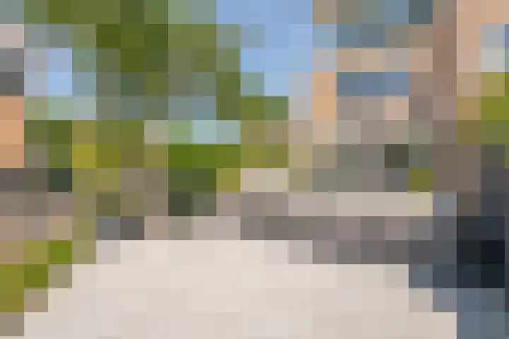 Kleipettenlaan 186 Rijnsburg thumbnail 25