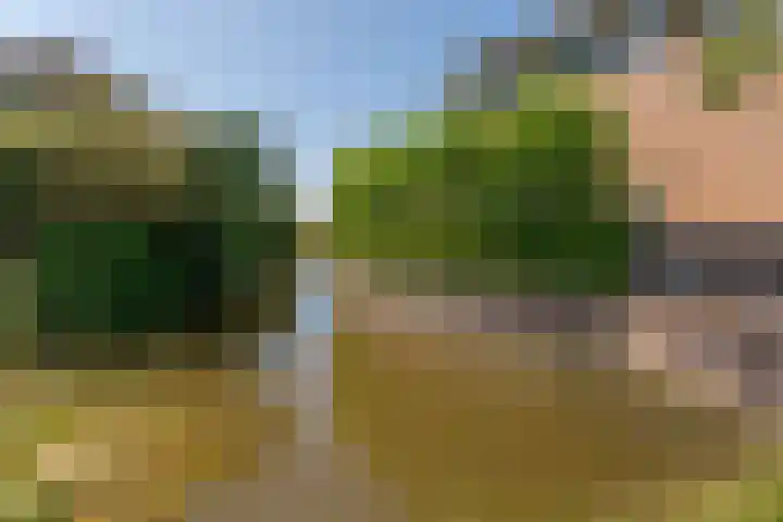 Kleipettenlaan 186 Rijnsburg thumbnail 26
