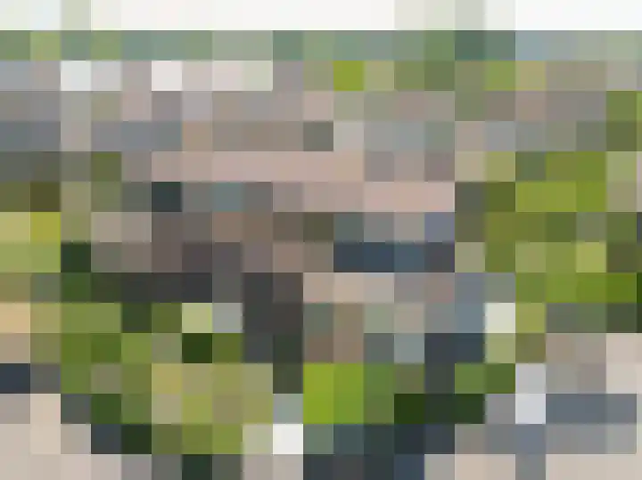 Kleipettenlaan 186 Rijnsburg thumbnail 27