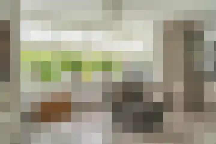 Kleipettenlaan 186 Rijnsburg thumbnail 4
