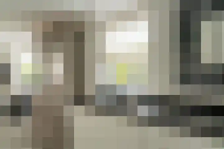 Kleipettenlaan 186 Rijnsburg thumbnail 8
