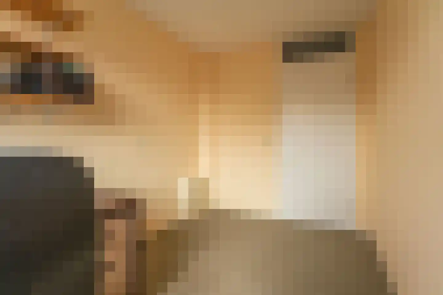 Kleipettenlaan 190 Rijnsburg thumbnail 14