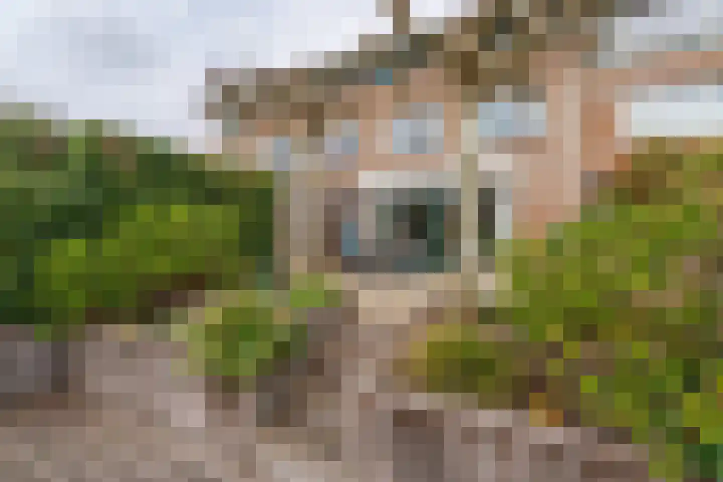 Kleipettenlaan 190 Rijnsburg thumbnail 28