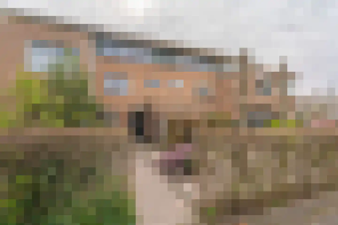 Kleipettenlaan 190 Rijnsburg thumbnail 30