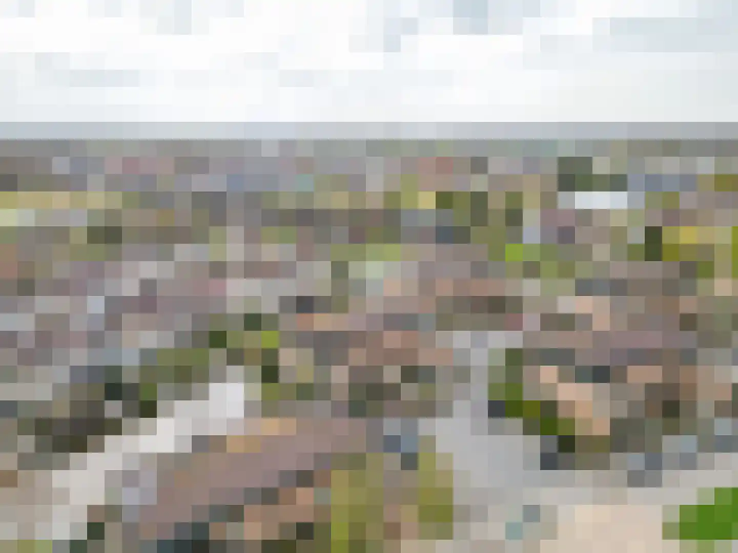 Kleipettenlaan 190 Rijnsburg thumbnail 32