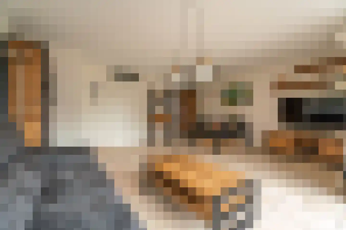Kleipettenlaan 190 Rijnsburg thumbnail 5