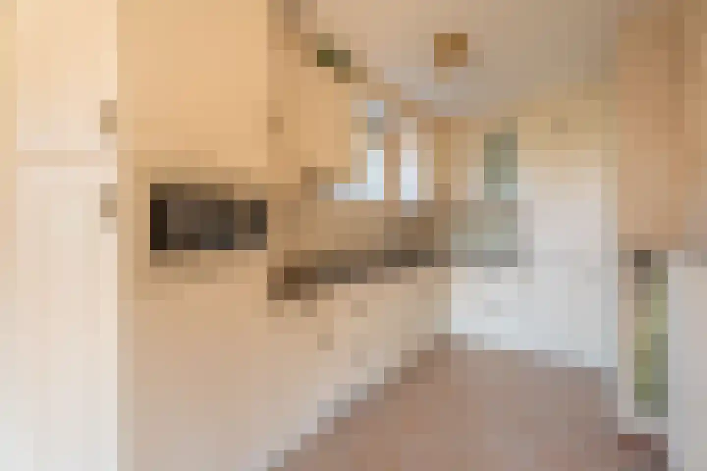 Kleipettenlaan 202 Rijnsburg thumbnail 5