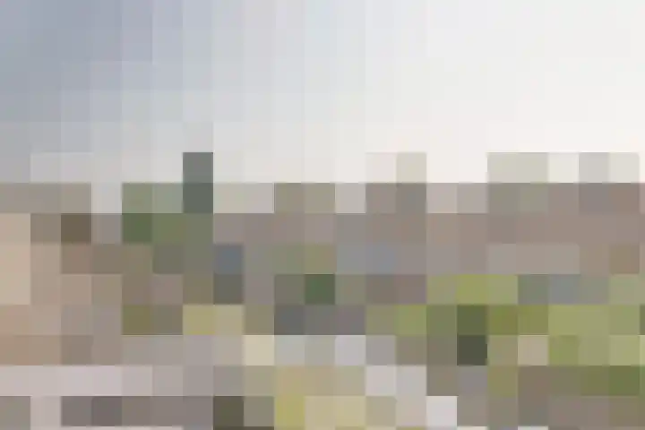 Kleipettenlaan 210 Rijnsburg thumbnail 34