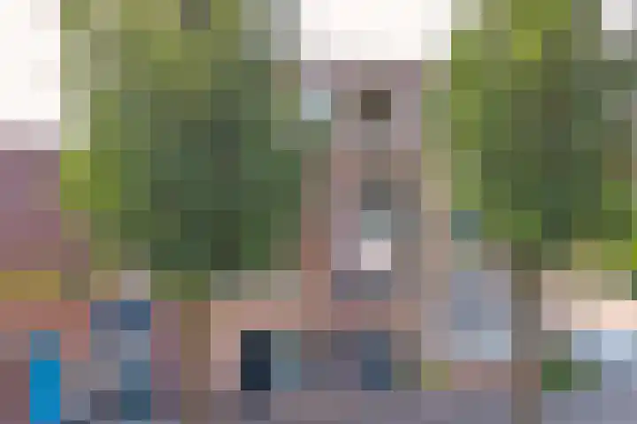 Kleipettenlaan 210 Rijnsburg thumbnail 35