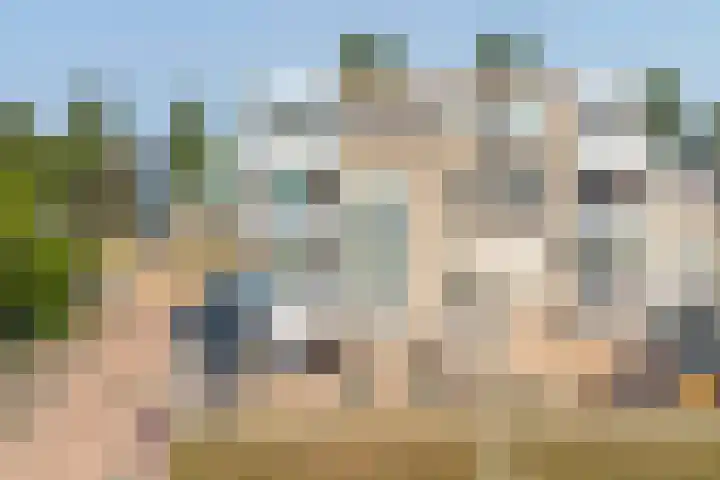 Kleipettenlaan 210 Rijnsburg thumbnail 38