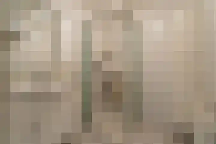 Kleipettenlaan 252 Rijnsburg thumbnail 18