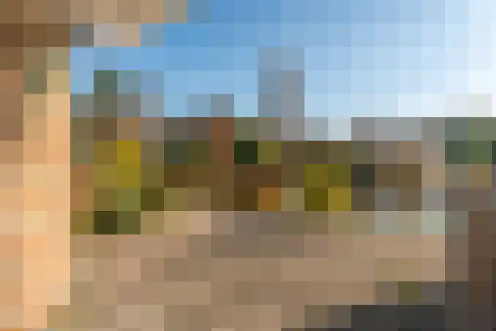 Kleipettenlaan 252 Rijnsburg thumbnail 20