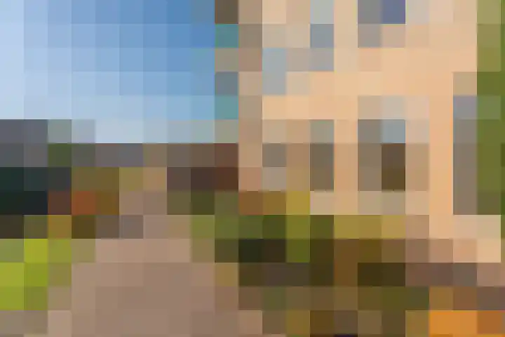 Kleipettenlaan 252 Rijnsburg thumbnail 21