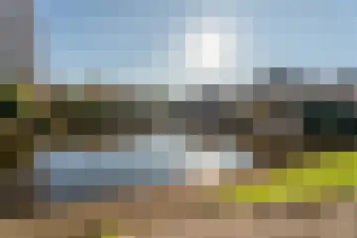 Kleipettenlaan 252 Rijnsburg thumbnail 22