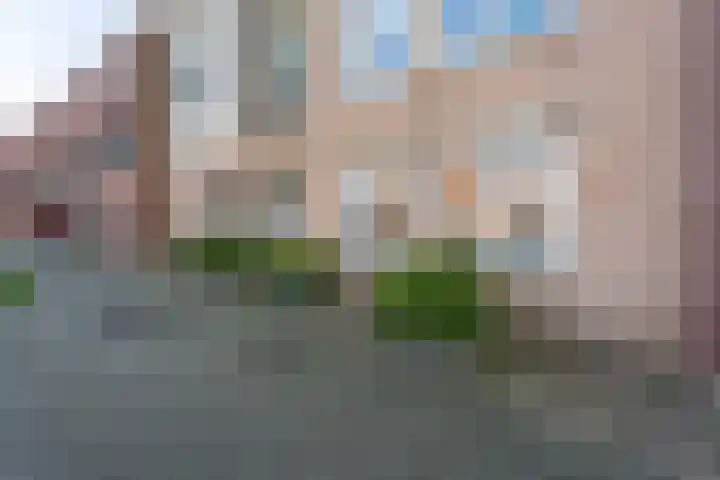 Kleipettenlaan 252 Rijnsburg thumbnail 24