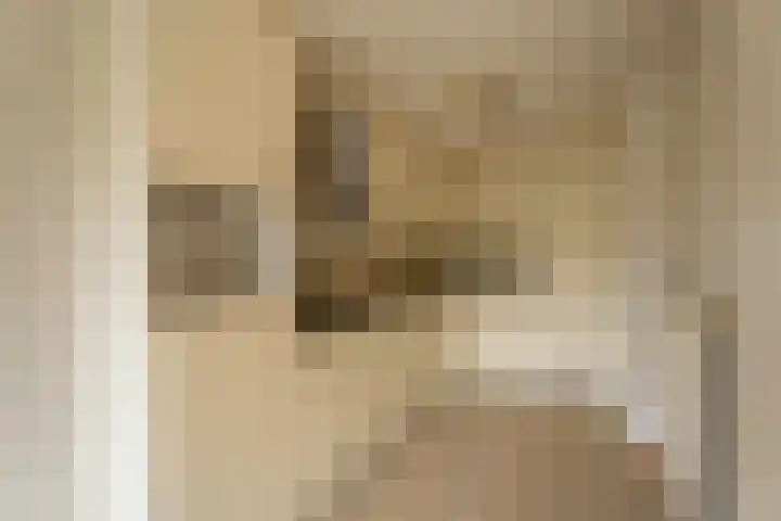 Kleipettenlaan 252 Rijnsburg thumbnail 8