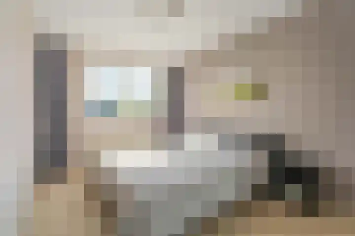 Kleipettenlaan 63 Rijnsburg thumbnail 15