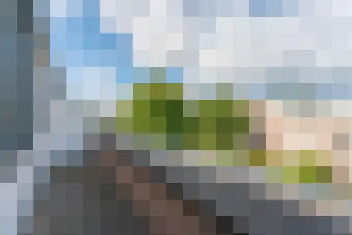 Kleipettenlaan 63 Rijnsburg thumbnail 25