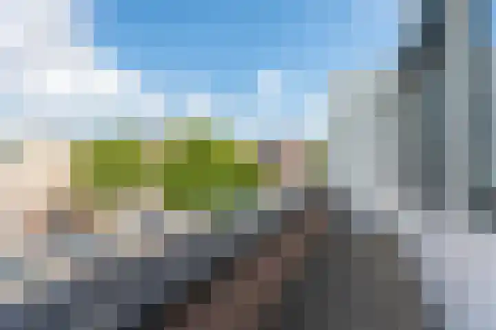 Kleipettenlaan 63 Rijnsburg thumbnail 26