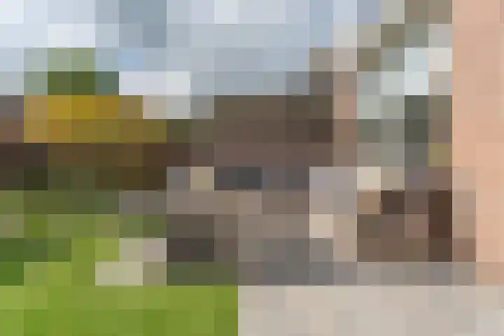 Kleipettenlaan 63 Rijnsburg thumbnail 28