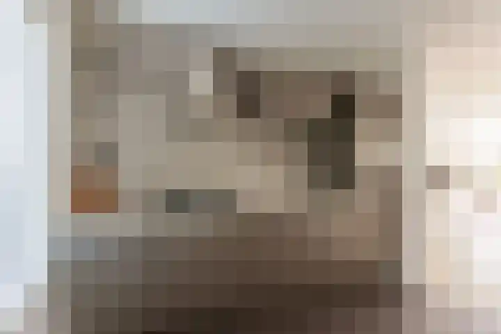 Kleipettenlaan 63 Rijnsburg thumbnail 8