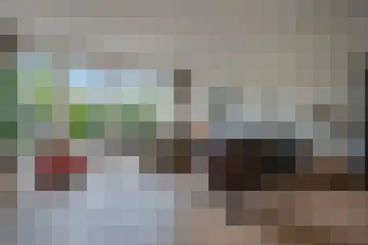 Kleipoelpad 13 Leiden thumbnail 10